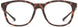 102791N9P5418 - Matte Tortoise