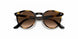 152/13 - Havana - Brown Gradient