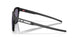 955501 - Black - Prizm Grey