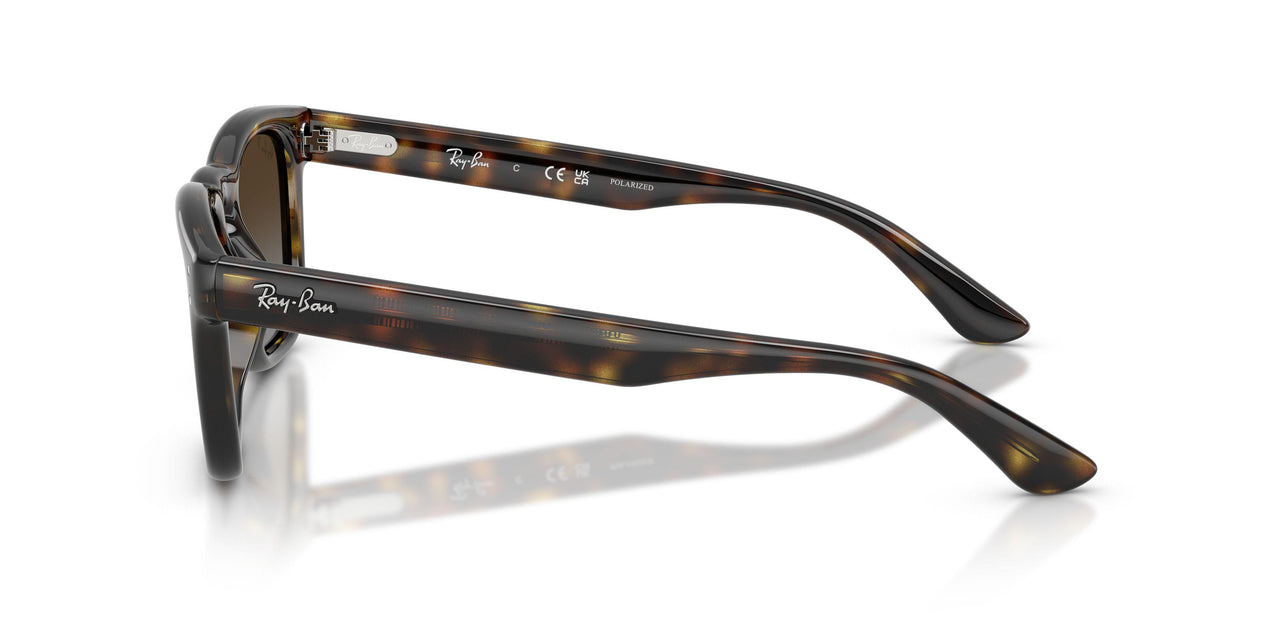 710/T5 - Tortoise - Polarized Light Grey Gradient Brow