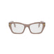 045 - Shiny Brown - DEMO
