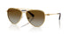 4037T5 - Gold - Gradient Brown Polar