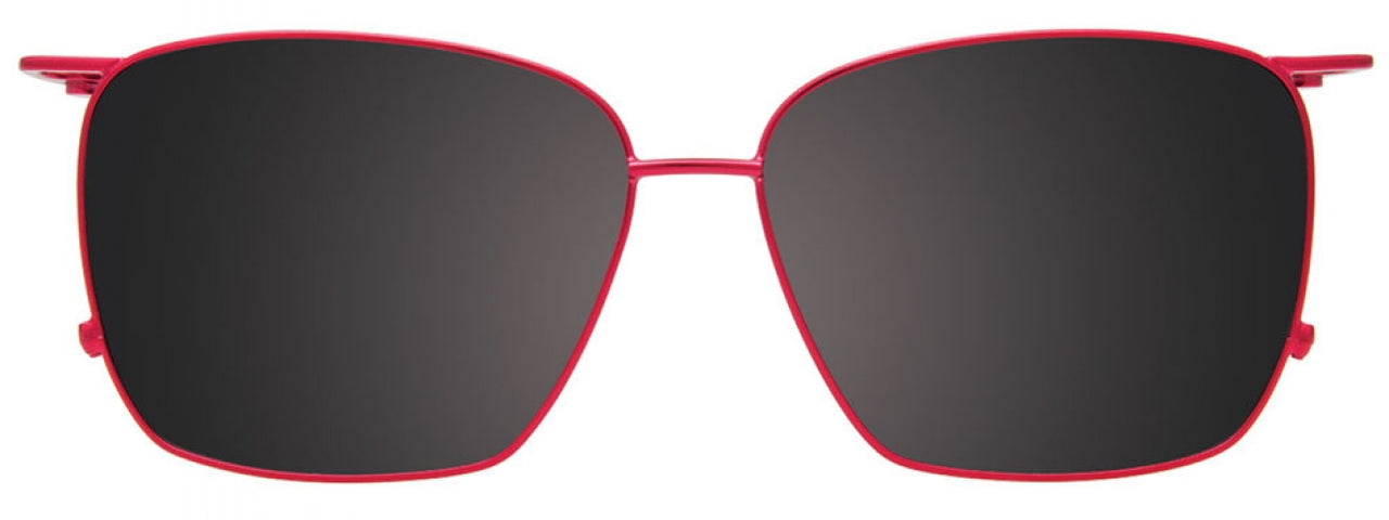 30 - Red Tortoise & Red / Rose