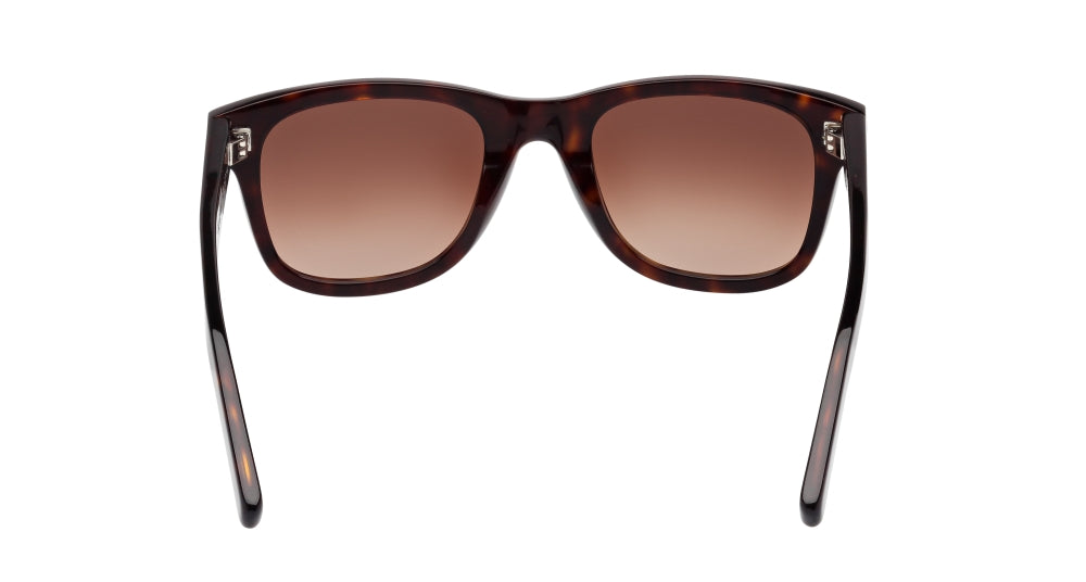 004 - Havana - Brown