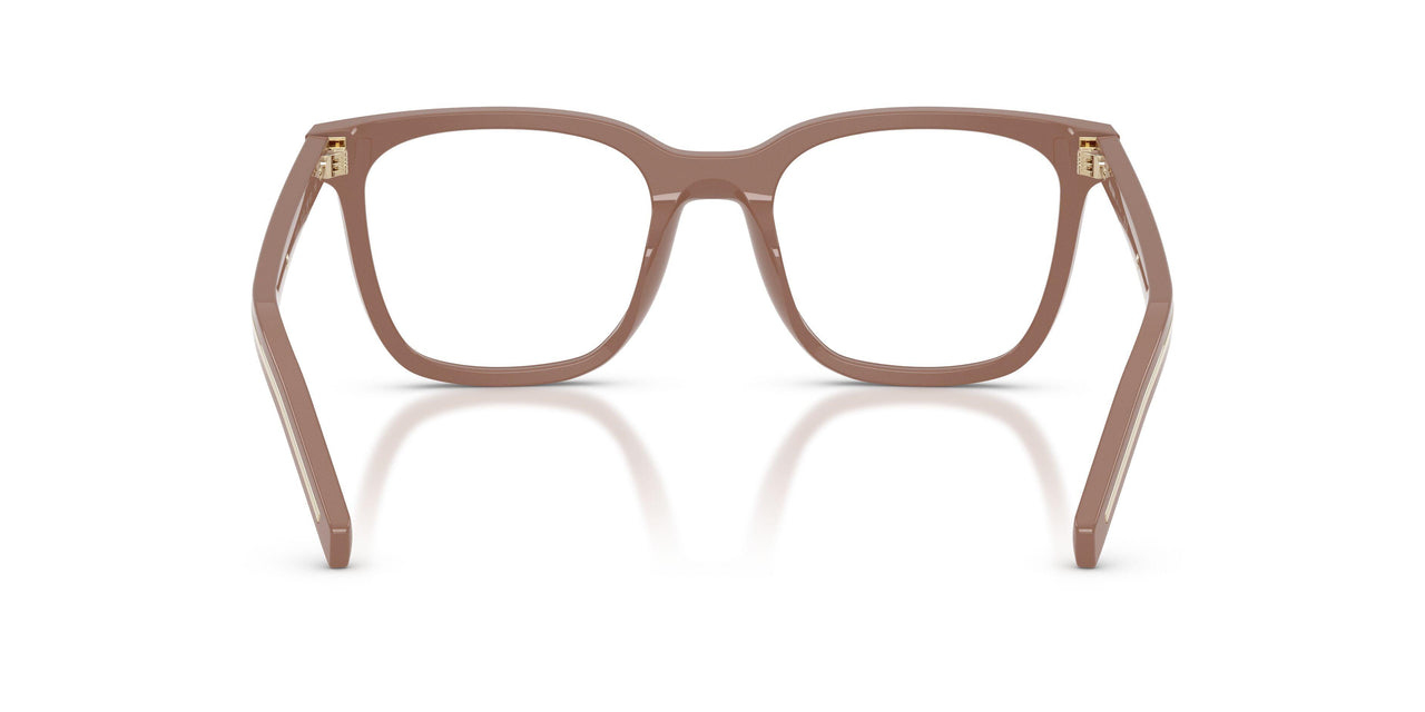 28D1O1 - Brown