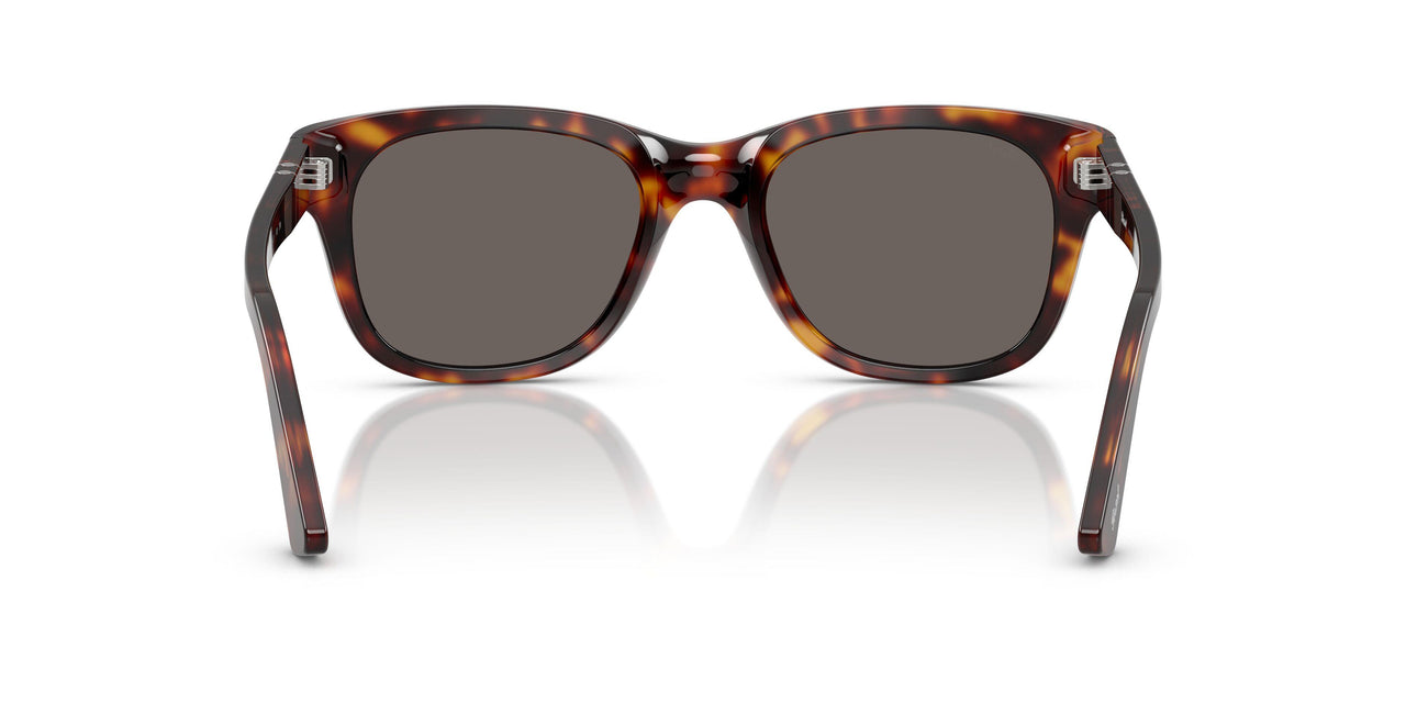 24/B1 - Tortoise - Dark Grey