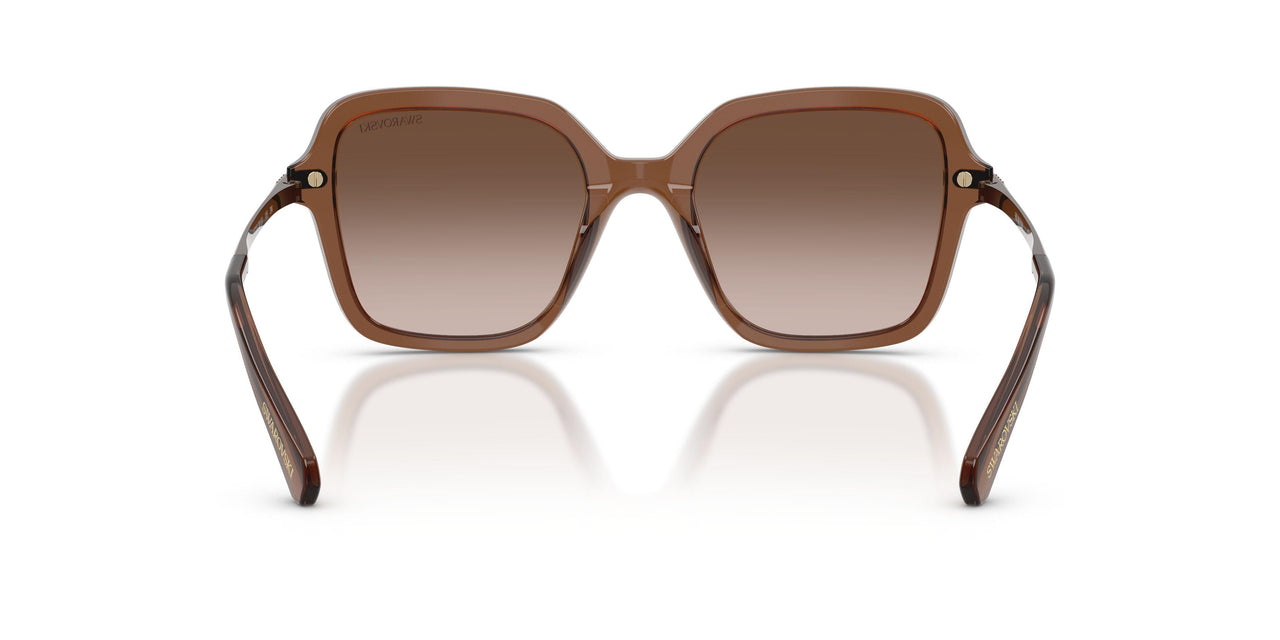 106713 - Brown - Brown Gradient