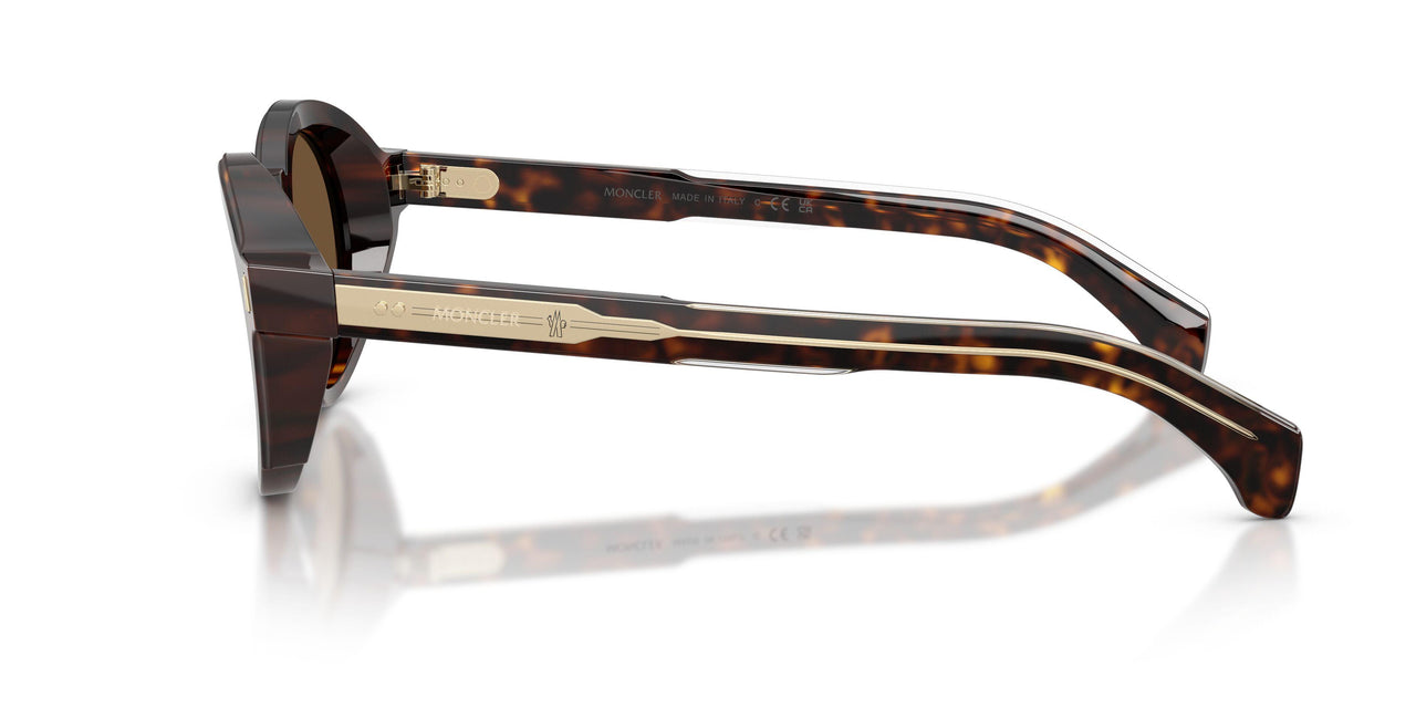 300273 - Tortoise - Solid Brown