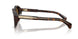 300273 - Tortoise - Solid Brown