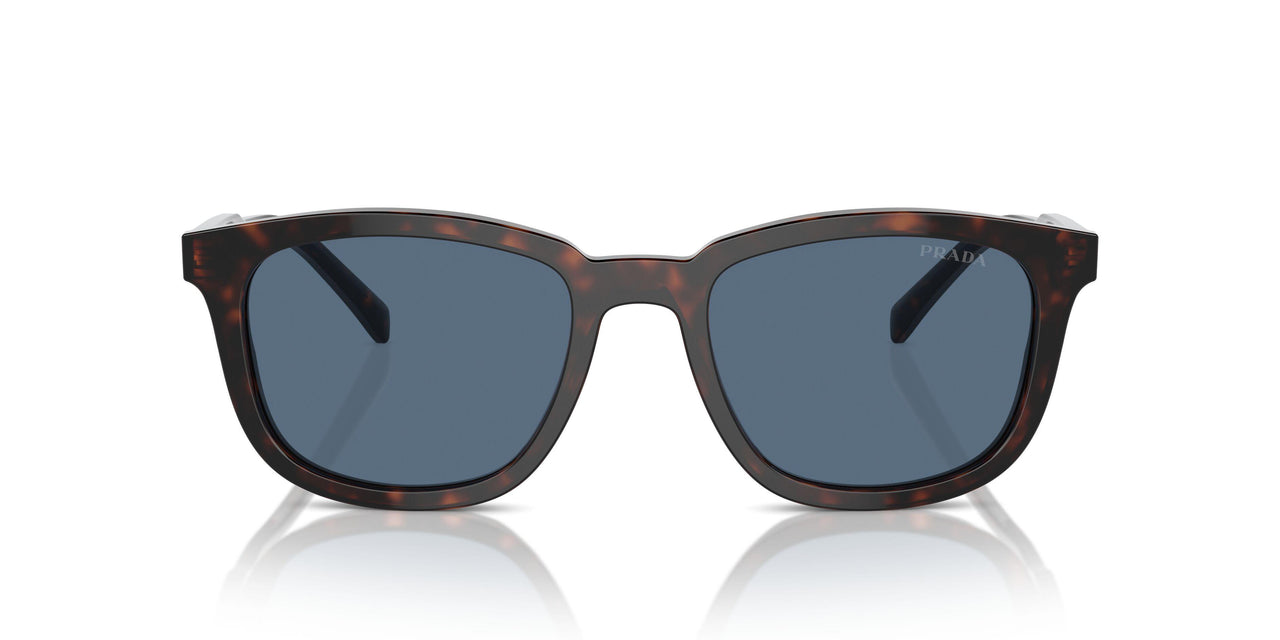 17N06A - Tortoise - Dark Blue