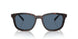 17N06A - Tortoise - Dark Blue
