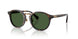 500371 - Tortoise - Bottle Green