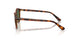 W65671 - Brown - Dark Green
