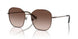 400213 - Brown - Gradient Brown