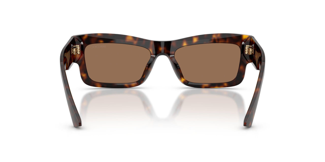 500273 - Tortoise - Dark Brown