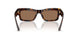 500273 - Tortoise - Dark Brown