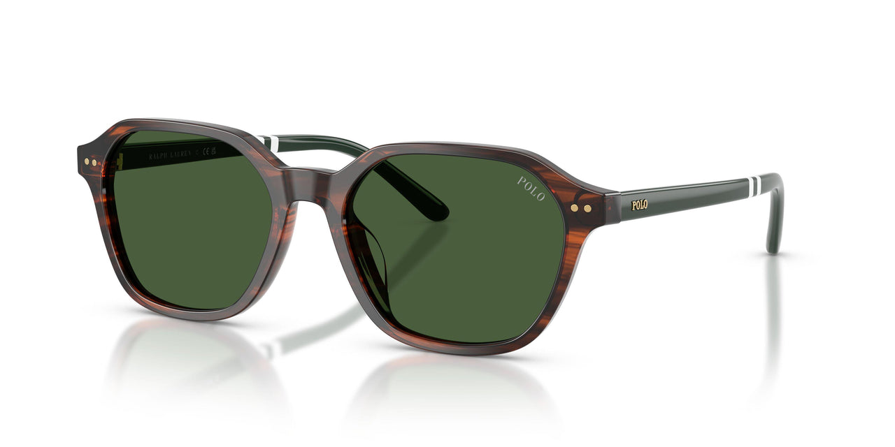 631571 - Brown - Bottle Green