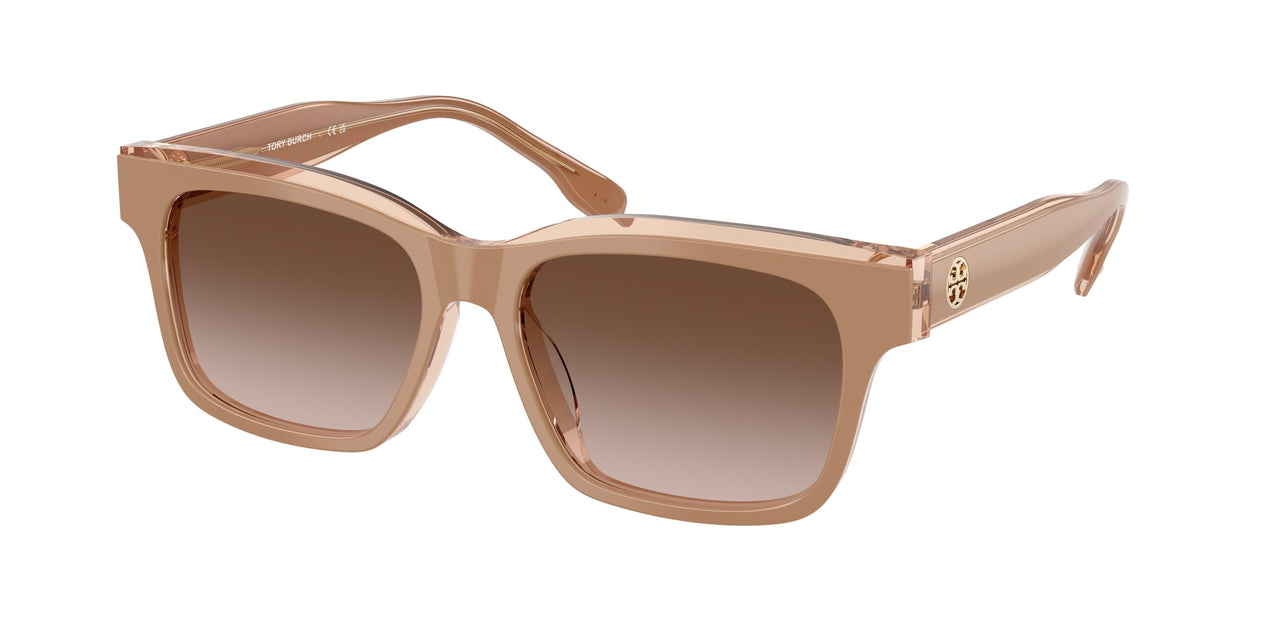 205913 - Brown - Brown Gradient
