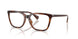 6149 - Tortoise