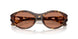 201373 - Tortoise - Solid Brown