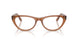 8201 - Brown - Clear