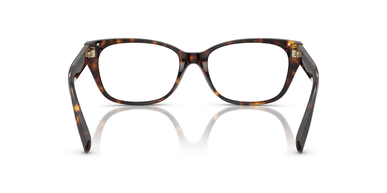 8015 - Tortoise