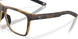 802603 - Tortoise