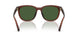 591171 - Brown - Green Solid