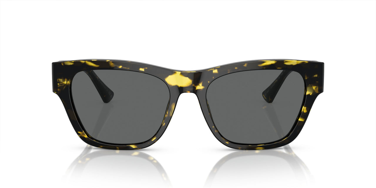 542887 - Tortoise - Dark Grey