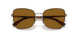 507883 - Havana - Polar Dark Brown
