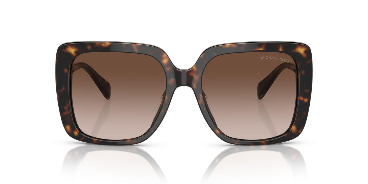 300613 - Tortoise - Brown Gradient