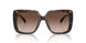300613 - Tortoise - Brown Gradient