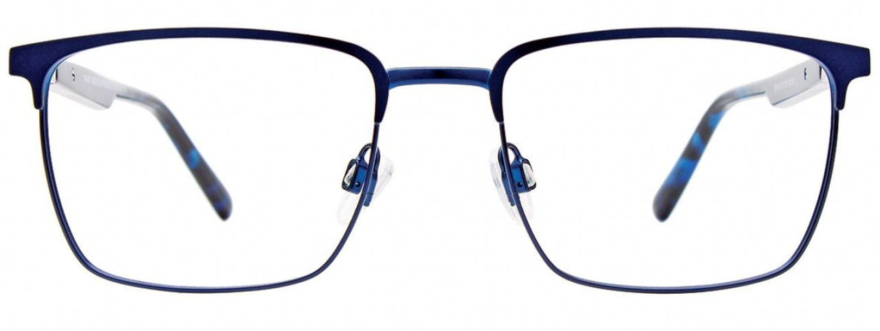 50 - Blue/Blue Tortoise
