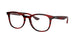 Ray-Ban 5356 Eyeglasses