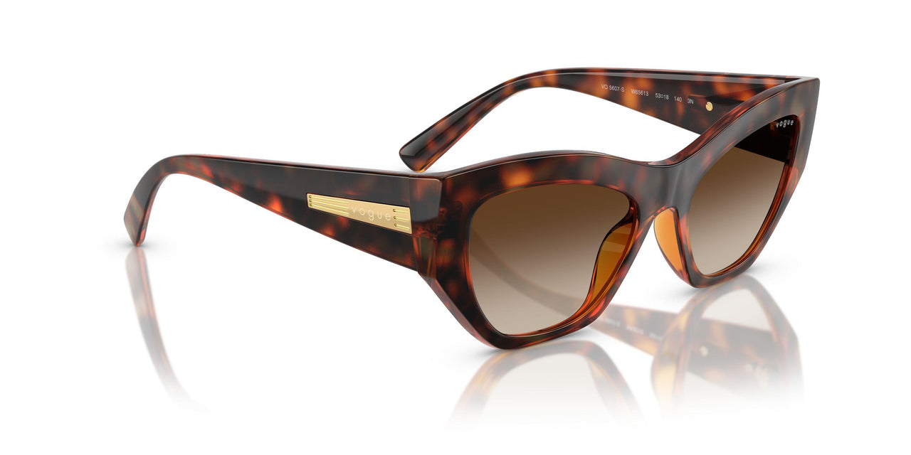 W65613 - Brown - Gradient Dark Brown