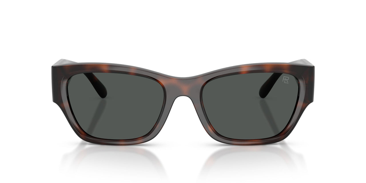 624187 - Tortoise - Grey