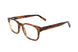 43 - HAVANA BROWN