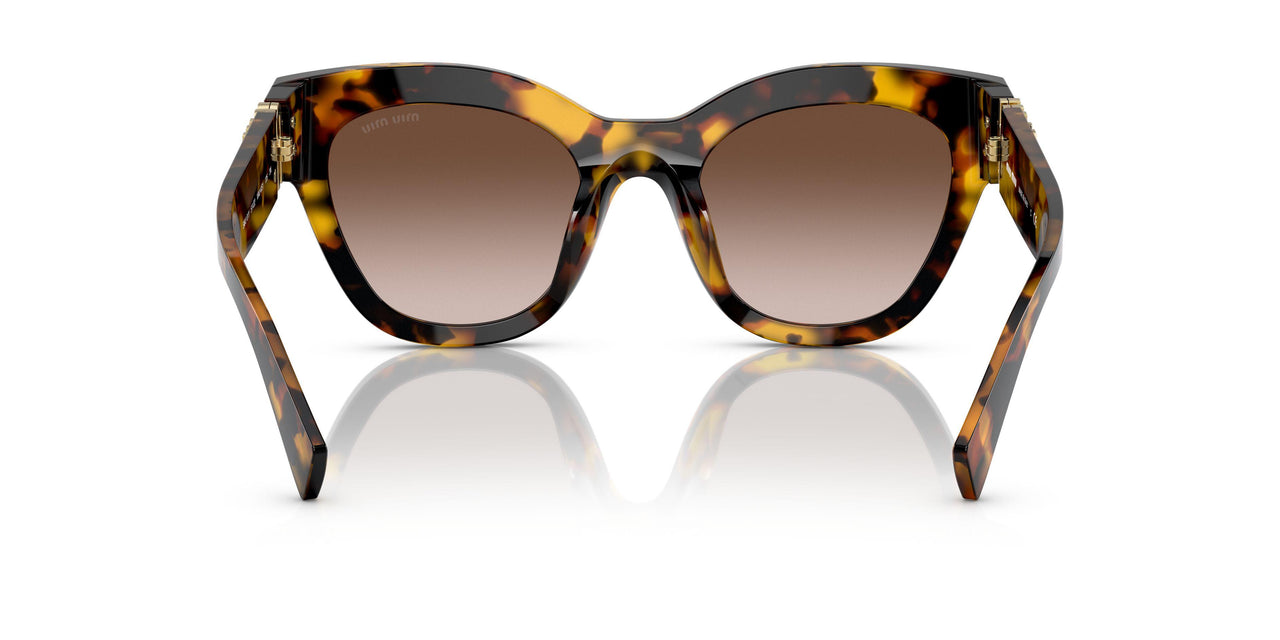 VAU6S1 - Tortoise - Brown Gradient
