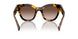 VAU6S1 - Tortoise - Brown Gradient