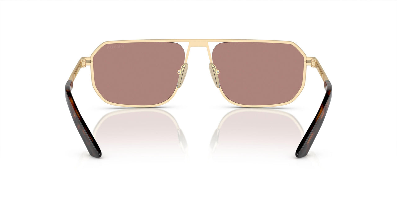 VAF10D - Gold - Light Brown