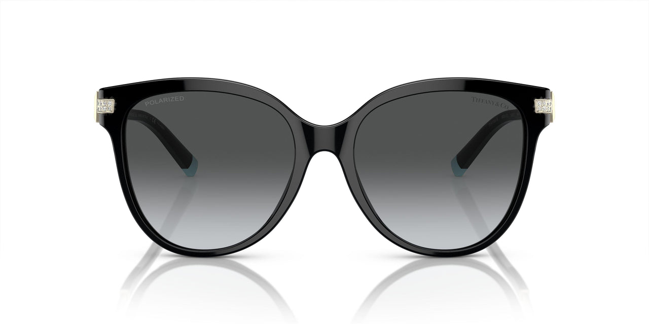 8001T3 - Black - Polar Grey Gradient