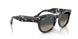 133371 - Tortoise - Grey Gradient