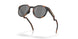 924218 - Tortoise - Prizm Black
