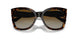 W656T5 - Brown - Brown Gradient Polar