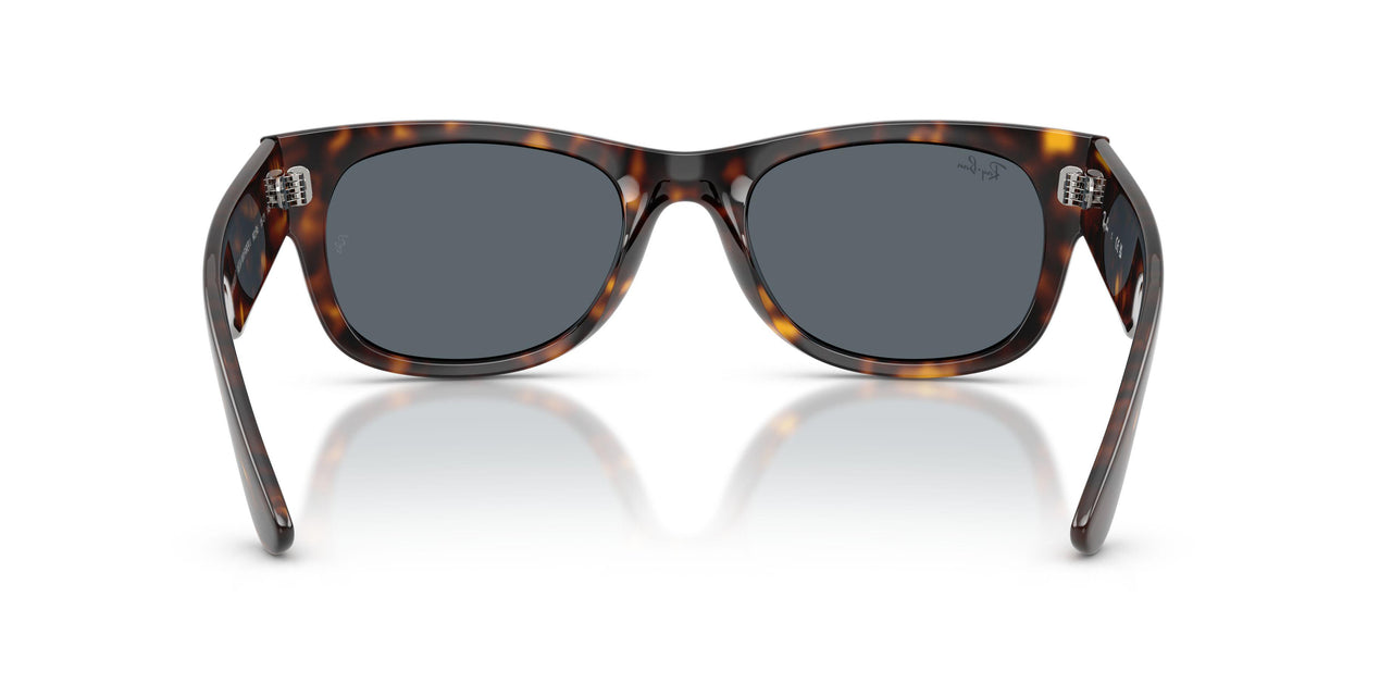 902/R5 - Tortoise - Blue