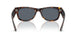 902/R5 - Tortoise - Blue