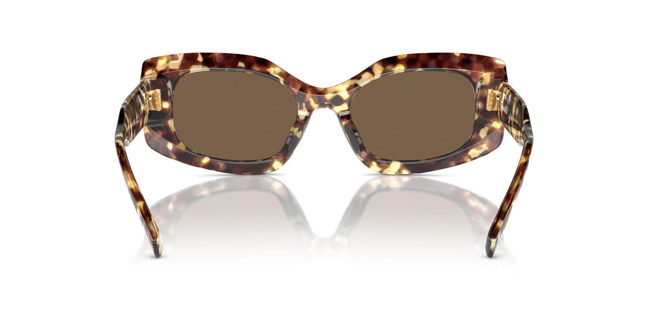 199573 - Tortoise - Dark Brown