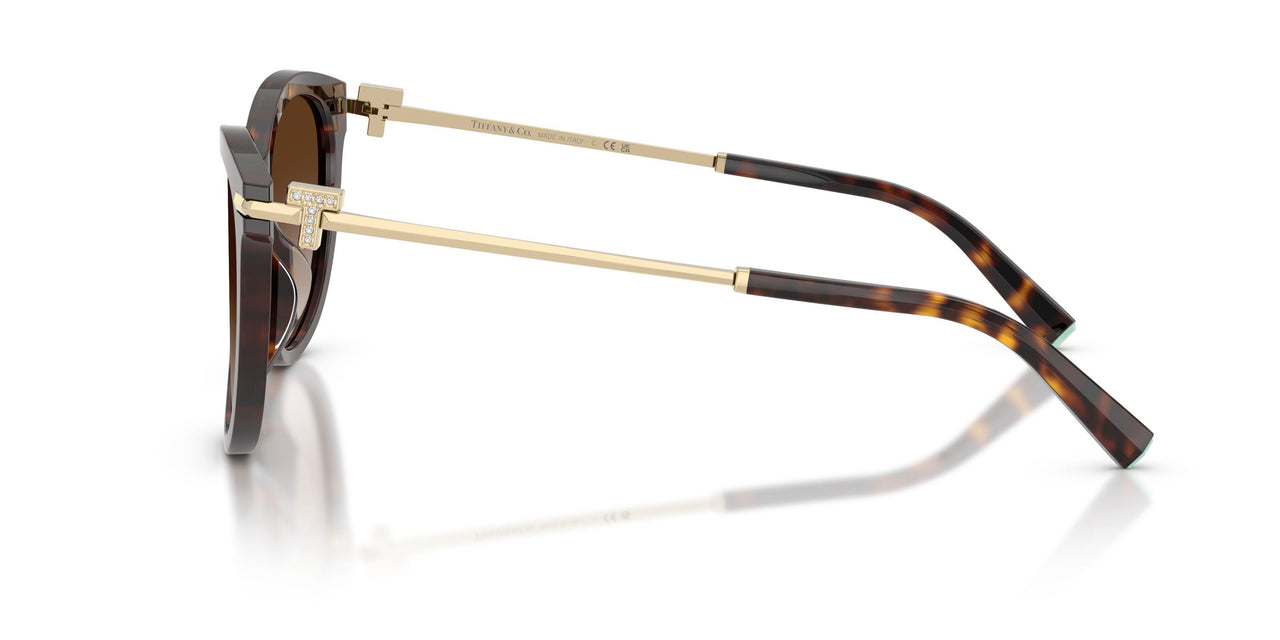 80153B - Tortoise - Brown Gradient