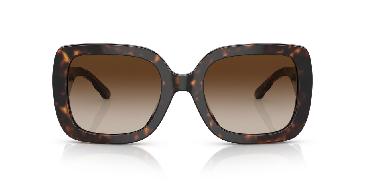 172813 - Havana - Brown Gradient