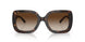 172813 - Havana - Brown Gradient
